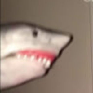 Meet your Posher, Deirdre